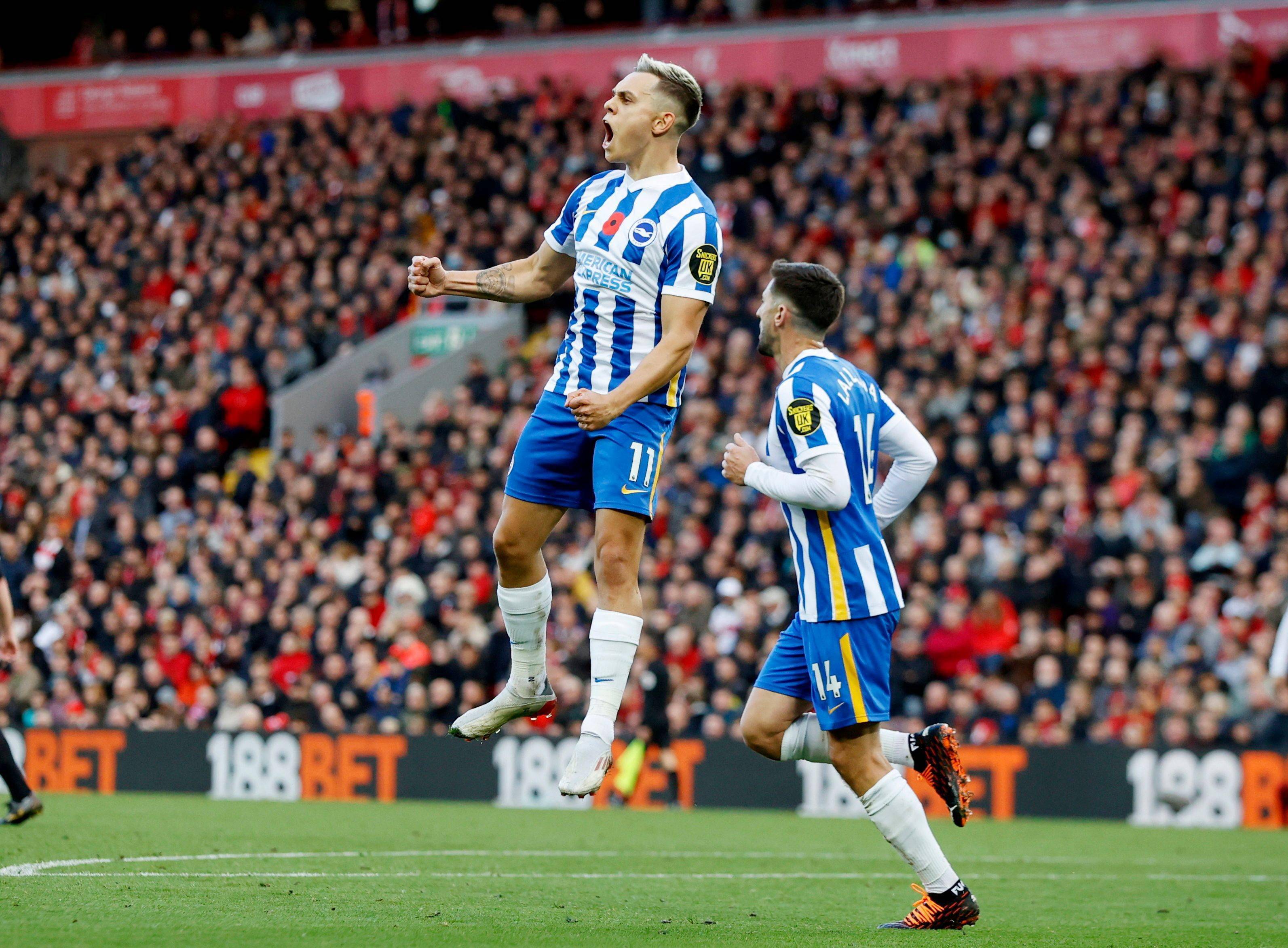 以及埃及在 以及埃及在